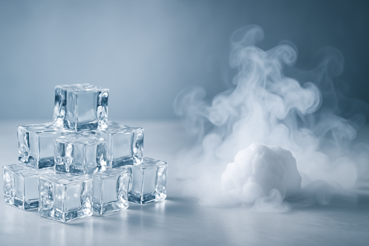 Differenza tra Ghiaccio Sintetico e Ghiaccio Secco.