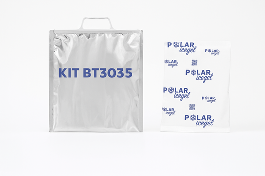 Buste Termiche 30×35 con Maniglia - Kit 10 Pezzi + Ghiaccio Sintetico