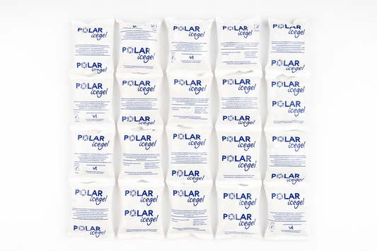 Economic Fast Ice Pack 24 Cellette 880g - Ghiaccio Sintetico Ecologico Professionale